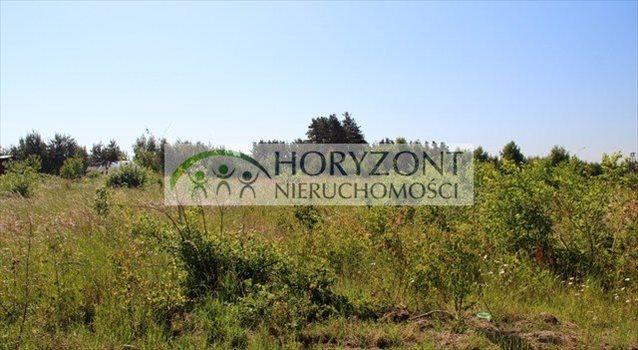 Działka budowlana na sprzedaż Bojano 1 000m2 Foto 3