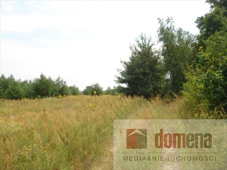 Działka budowlana na sprzedaż Bledzew, Elektrownia 1 000m2 Foto 5