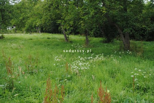 Działka budowlana na sprzedaż Siercza 1 399m2 Foto 8