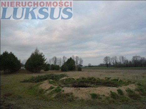 Działka budowlana pod dzierżawę Biały Ług, Biały Ług 12 300m2 Foto 11