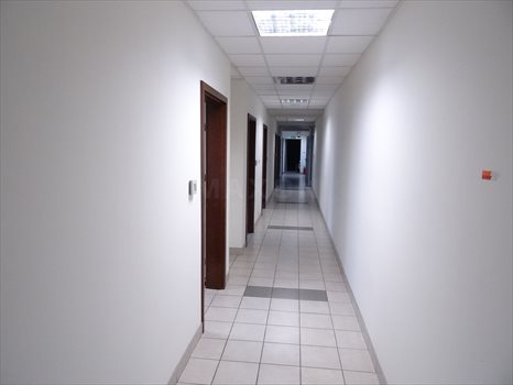 Lokal użytkowy na sprzedaż Sadowa, ul. Kolejowa 4 600m2 Foto 13