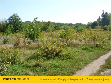 Działka inna na sprzedaż Łódź, Bałuty 3 576m2 Foto 3