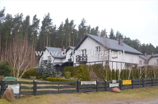 Lokal użytkowy na sprzedaż Dębina 337m2 Foto 3
