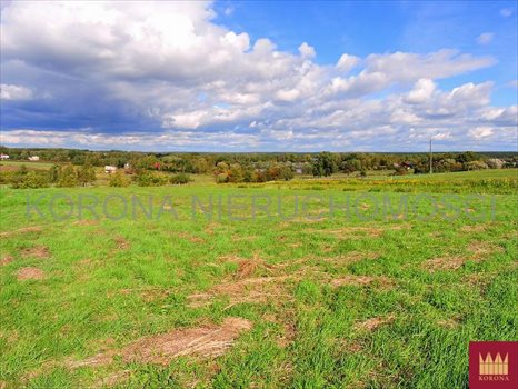 Działka budowlana na sprzedaż Rybnik, Chwałęcice 2 448m2 Foto 3