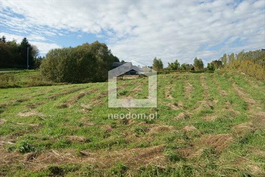 Działka budowlana na sprzedaż Lusina, Zdrojowa 4 300m2 Foto 1