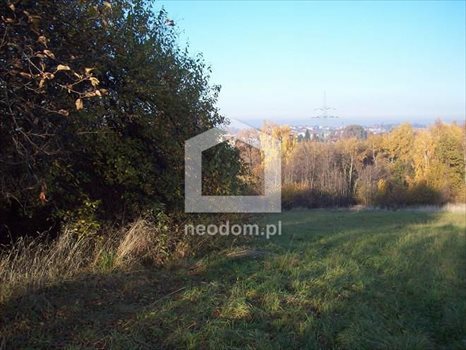 Działka inna na sprzedaż Gaj 800m2 Foto 4
