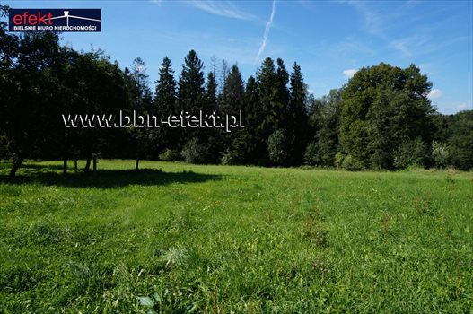 Działka budowlana na sprzedaż Świętoszówka 4 707m2 Foto 4