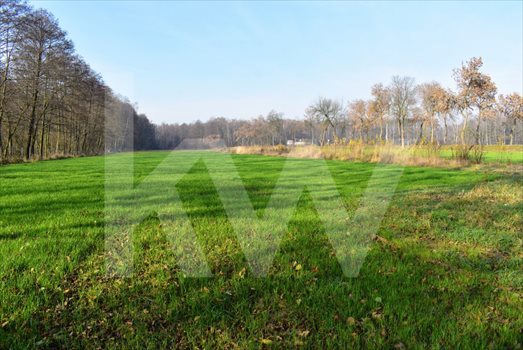 Działka budowlana na sprzedaż Żernica 21 000m2 Foto 5