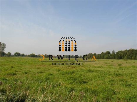 Działka budowlana na sprzedaż Gościnowo 1 200m2 Foto 9