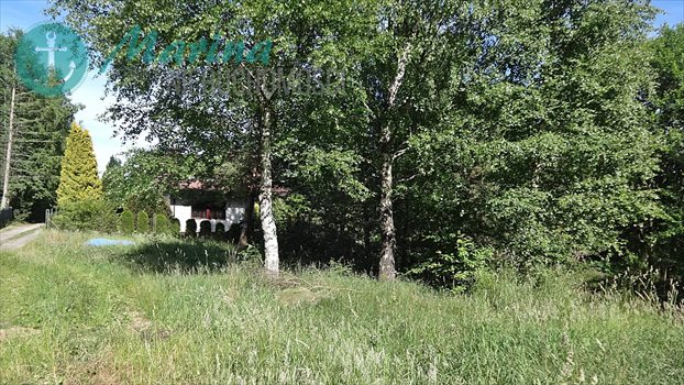 Działka budowlana na sprzedaż Kamień, Jezioro, Las, Tereny rekreacyjne 536m2 Foto 7