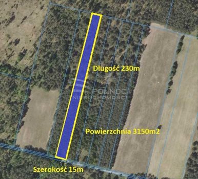Działka rekreacyjna na sprzedaż Ponik 3 150m2 Foto 4