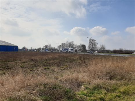 Działka inwestycyjna na sprzedaż Poznań, Rataje, Bolesława Krzywoustego 13 000m2 Foto 3