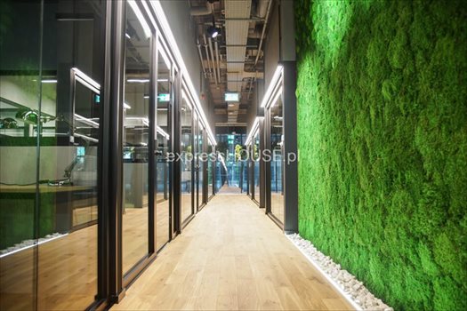 Lokal użytkowy na wynajem Poznań, Centrum, Królowej Jadwigi 200m2 Foto 1