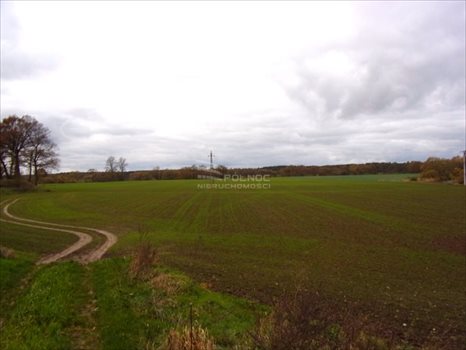 Lokal użytkowy na sprzedaż Golnice 200 000m2 Foto 8