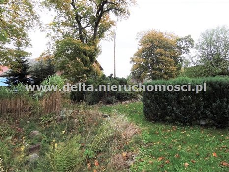 Dom na sprzedaż Zagórki, Zbyszewo 52m2 Foto 9