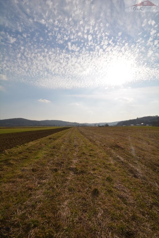 Działka rekreacyjna na sprzedaż Wara 2 955m2 Foto 12