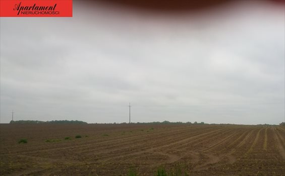 Działka inna na sprzedaż Jabłkowo 60 000m2 Foto 1