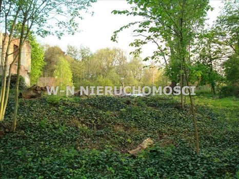 Lokal użytkowy na sprzedaż Bytom Odrzański, Bodzów 9 600m2 Foto 9