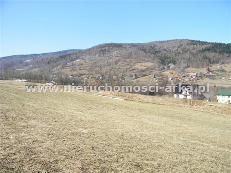 Działka budowlana na sprzedaż Dobra 2 900m2 Foto 2