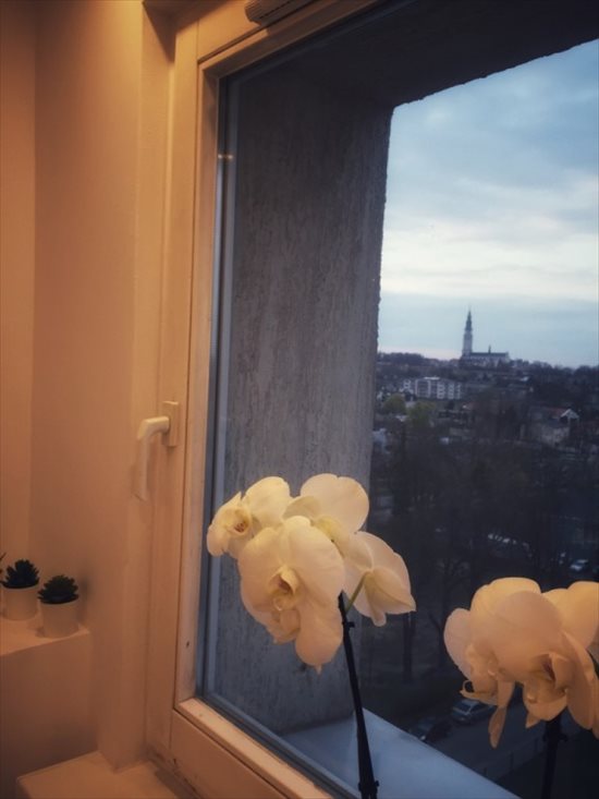 Mieszkanie dwupokojowe na sprzedaż Częstochowa 41m2 Foto 9