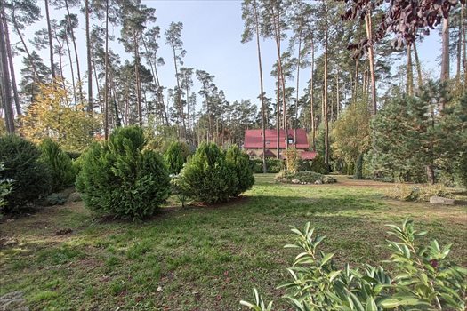 Dom na sprzedaż Morzyczyn 40m2 Foto 5