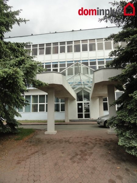 Lokal użytkowy na sprzedaż Toruń 5 600m2 Foto 7