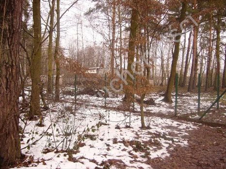Działka budowlana na sprzedaż Brwinów 2 607m2 Foto 3