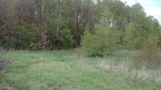 Działka rolna na sprzedaż Łódź, Widzew, Opolska 14 997m2 Foto 2
