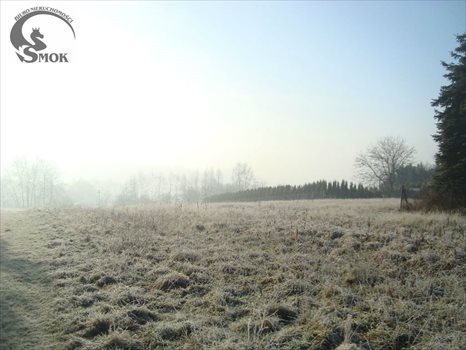 Działka budowlana na sprzedaż Mogilany 2 000m2 Foto 1