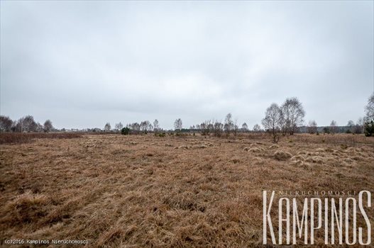 Działka rolna na sprzedaż Zalesie, Stare Babice, oferta 2392 11 700m2 Foto 2