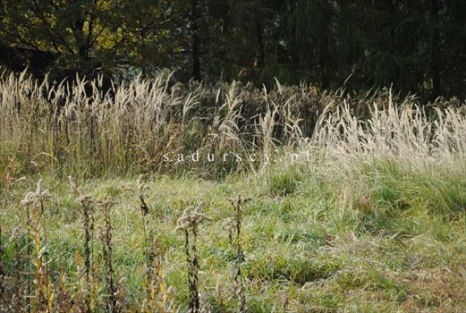 Działka budowlana na sprzedaż Kraków, Podgórze, Podgórze Duchackie 1 484m2 Foto 3