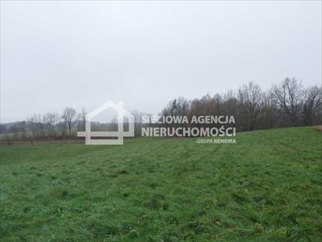 Działka rolna na sprzedaż Trzepowo 40 200m2 Foto 9