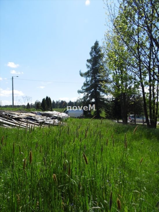 Działka budowlana na sprzedaż Ostrowsko 2 832m2 Foto 2