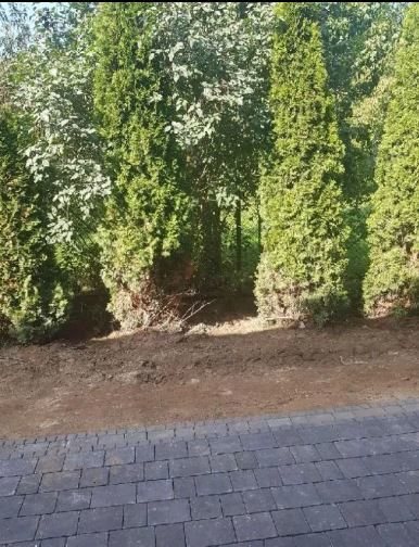 Dom na sprzedaż Dziekanów Leśny 142m2 Foto 6