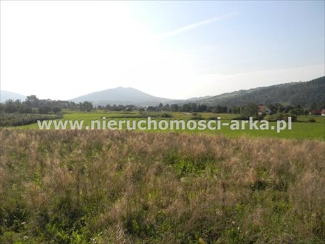 Działka budowlana na sprzedaż Dobra 1 300m2 Foto 3