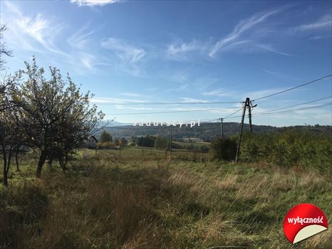 Działka budowlana na sprzedaż Dobranowice 4 500m2 Foto 6