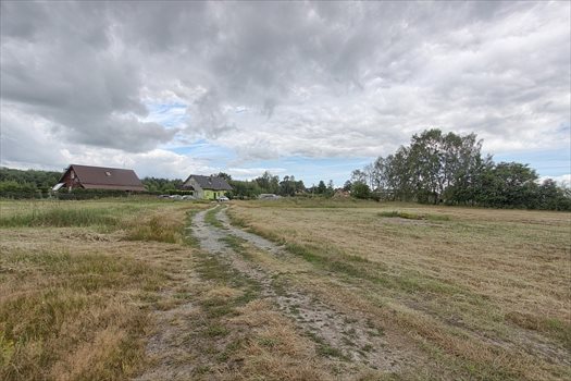 Działka budowlana na sprzedaż Brzózki 2 815m2 Foto 3