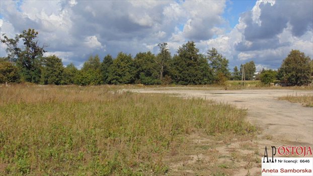 Działka inwestycyjna na sprzedaż Wrocław, Psie Pole, Pełczyńska 4 317m2 Foto 2