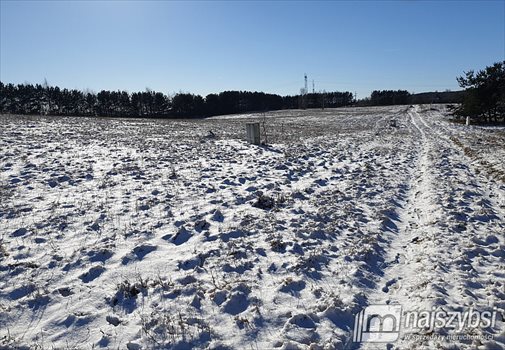 Działka budowlana na sprzedaż Jagatowo 12 004m2 Foto 6