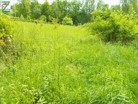 Działka budowlana na sprzedaż RABKA-ZDRÓJ 1 500m2 Foto 2
