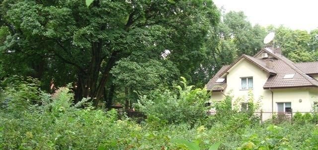 Działka budowlana na sprzedaż Warszawa, Wawer, Kościuszkowców 3 450m2 Foto 6