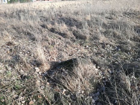 Działka inna na sprzedaż Połchowo 873m2 Foto 3
