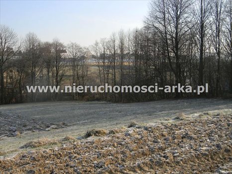 Działka budowlana na sprzedaż Męcina 5 800m2 Foto 7