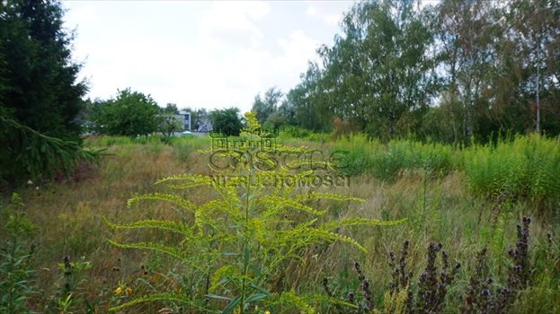 Działka budowlana na sprzedaż Kobylnica, Dolinowa 1 256m2 Foto 4