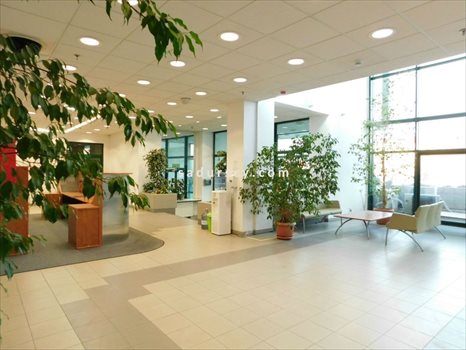 Lokal użytkowy na wynajem Józefosław 42m2 Foto 7