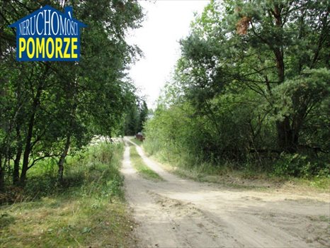 Działka budowlana na sprzedaż Kiełpin 968m2 Foto 8