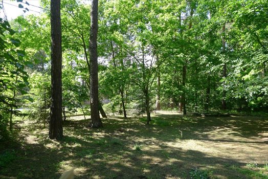 Działka leśna na sprzedaż Jedlicze A 1 000m2 Foto 2