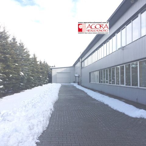 Lokal użytkowy na wynajem Nowy Targ 2 000m2 Foto 13