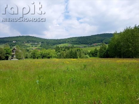 Działka budowlana na sprzedaż Zasań 4 002m2 Foto 1