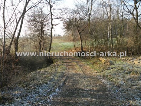 Działka budowlana na sprzedaż Męcina 5 800m2 Foto 1